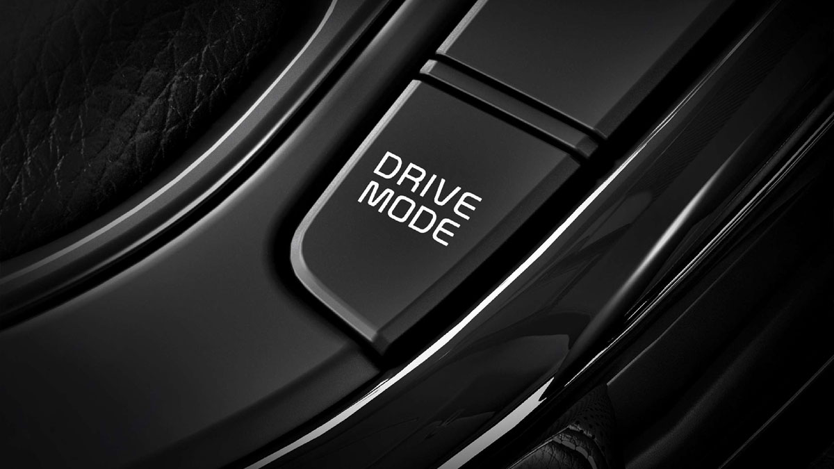 Cụm đèn hậu LED tinh xảo